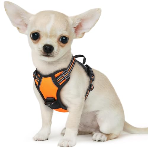 Dog Harness for Small Dogs (X-Small / Orange)