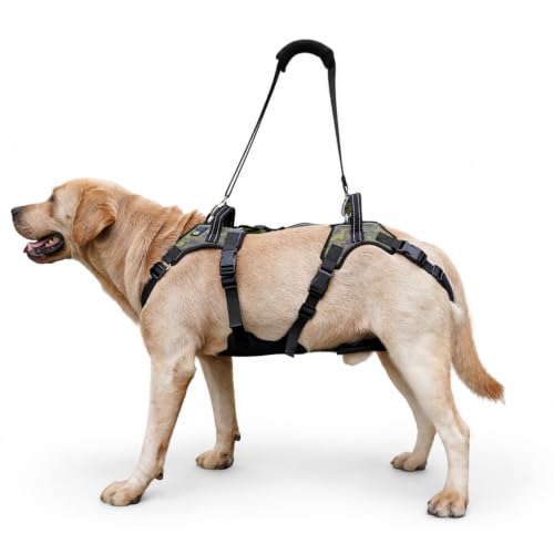 Dog Lift Harness for Senior Dogs (L)