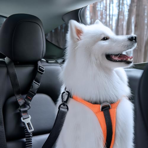 2 in 1 Car Seat Belt Tether for Dogs
