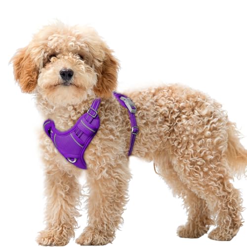 Dog Harness for Small Sized Dog No Pull Dog Vest ID Tag Pocket (Purple / X-Small)
