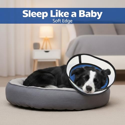 Dog Cone Collar for Medium Large Dogs (M - Neck Girth:12" - 15.7")
