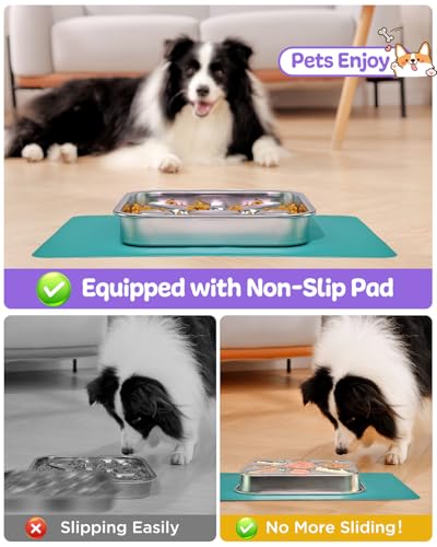 Slow Feeder Dog Bowls with Non (2.5 Cup Single Pack)
