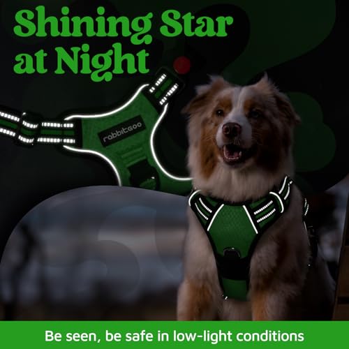 Dog Harness Medium Sized (Green / Medium)