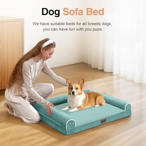 Orthopedic Dog Bed for Medium Dogs (Aqua Blue / 30.0"L x 20.0"W x 6.0"Th)