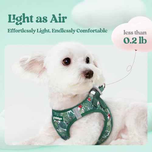 Dog Harness Medium Sized and Leash Set (Rainforest Green / M (chest: 16 - 18.5"))