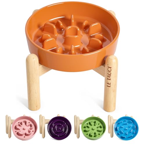 Ceramic Slow Feed Dog Bowls (Sun Orange+Stand / S-0.6 Cups)