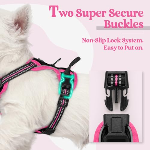Dog Harness No Pull for Small Dogs with 2 Leash Clips (X-Small / Black & Hot Pink)