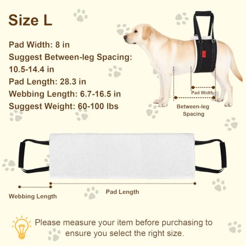 Leather Dog Lift Harness (L)