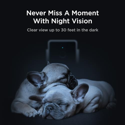 Cam (3-Pack) – Wi-Fi Pet & Security Camera with App