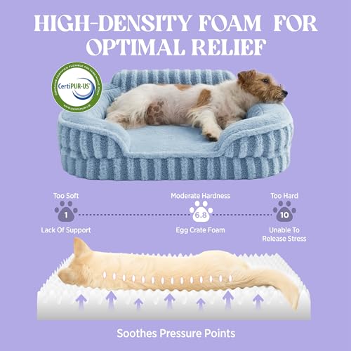Cute Cozy High Back Orthopedic L Plus Dog Bed (38.0"l X 28.0"w X 7.0"th / Blue)