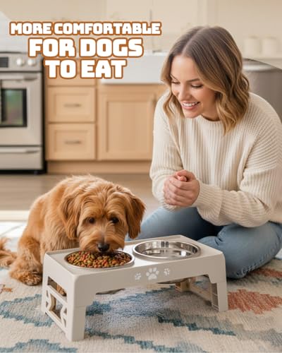 Elevated Dog Bowls for Small Dogs and Cats (for Small Dogs and Cats 2 Basic Bowls / Beige)