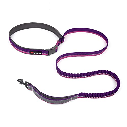 Hands Free Bungee Dog Leash (Punch Purple)