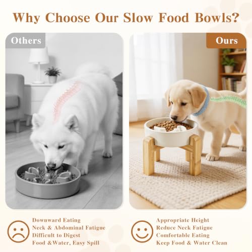 6.3” Elevated Slow Feeder Dog Bowls (White-M)
