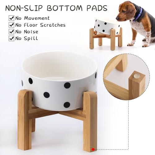 Elevated Raised 15°Slanted Ceramic Dog Bowl for Small and Medium Breeds (Black Dot / 3.6 CUPS - Medium Dog Bowls)