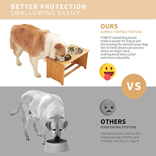 FOREYY Raised Pet Bowls for Cats and Small Dogs (4'' Tall-20 oz bowl)