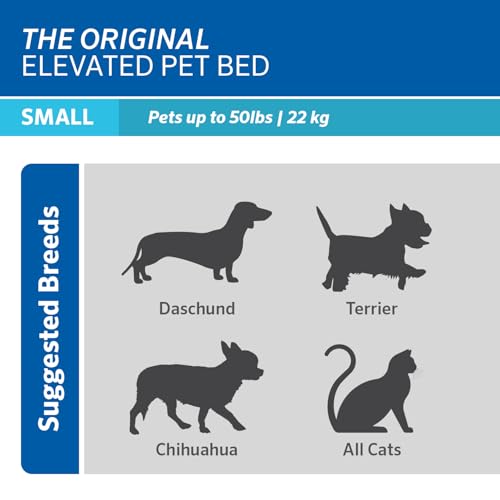 Original Elevated Dog Bed (Small Dog Bed / Grey)