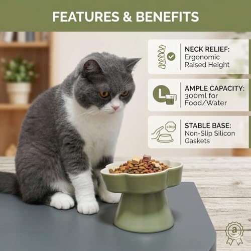 Ceramic Elevated Slow Feeder Cat Bowl (Green/Ivory)