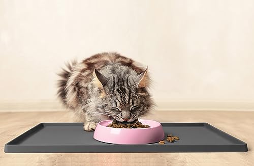 Cat Bowls Whisker Friendly Food Bowl for Indoor Cats (Dish - Set of Two / Pink)