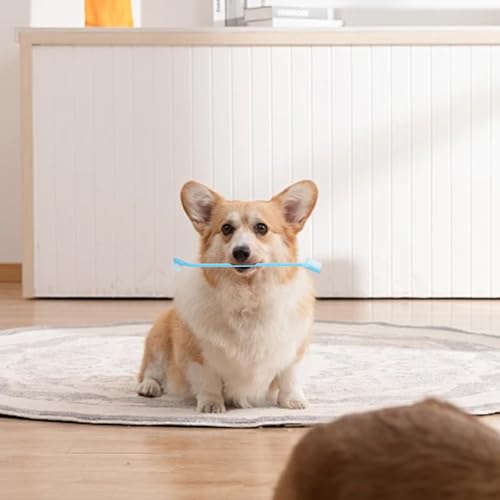 200 PCS Pet Toothbrush Bulk Toothbrush Puppy Tooth Brushing Kit