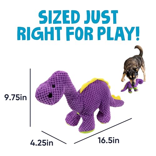 Dinos Bruto Checkers Tough Plush Toy with Chew Guard Technology (Dinos Bruto (Purple) / Large)