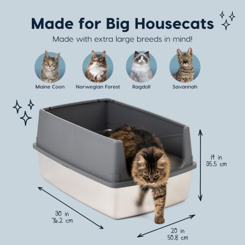 XXL Stainless Steel Litter Box Enclosed High Sided for Cats (XXL / Stainless Steel)