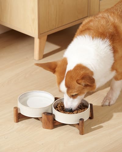 Elevated Ceramic Dog Cat Bowl Set (Small-1.8Cups / Vintage White)
