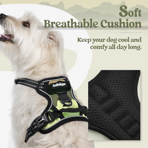 Dog Harness No Pull for Small Dogs with 2 Leash Clips (X-Small / Green Mountain)