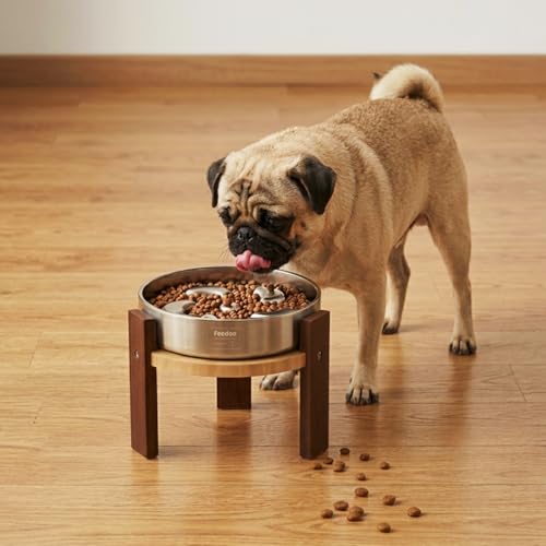 Elevated Dog Bowl Stand (6" Height 2Cups Slow Feeder)