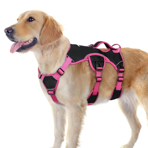 Escape Proof Dog Harness for Large (Rose & Black / Large)