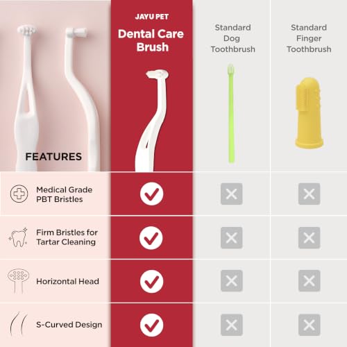 Dental Care Brush (Firm Bristles / 1 Count (Pack of 3))