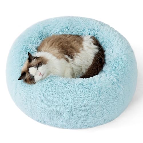 Calming Cat Beds Donut Round Washable Kitten Bed (20"L x 20"W x 6"Th / Aqua Blue)