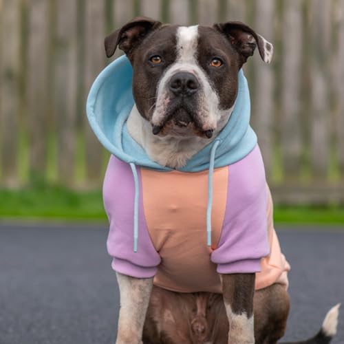 Dog Hoodie Buttery (Cotton Candy / 3XL)