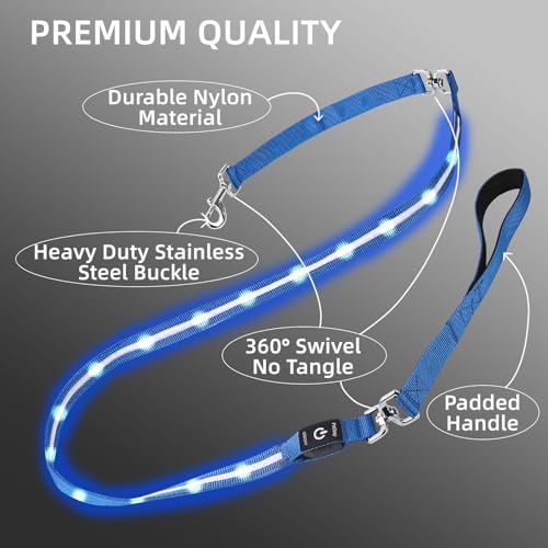 Light up Dog Leash for Night Walking (6 FT / Orange)
