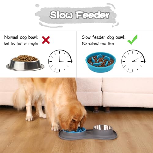 Dog Food and Water Bowl Set 3 in 1 (Small / Gray)