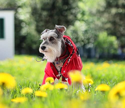 Dog Zip Up Raincoat with Reflective Buttons (X-Small / Pink)