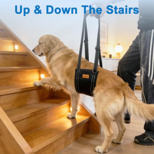 Large Dog Rear Support Sling (L)