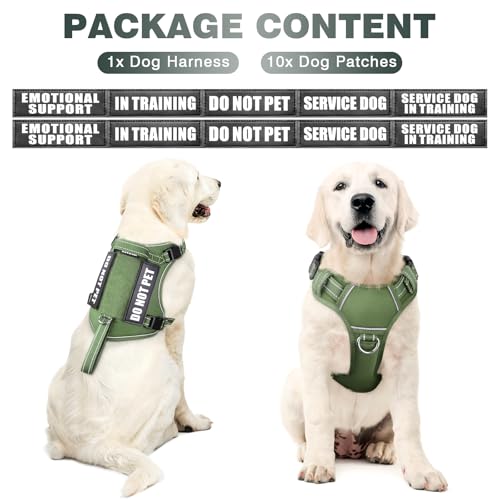 Tactical Dog Harness (Large / Green)