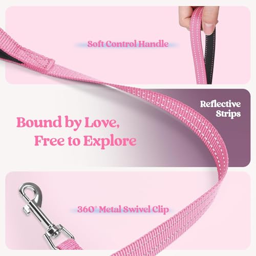 Dog Harness Small Sized and Leash Set (Pink & Plaid Trim / Xxs (chest: 12.4 - 14.2"))
