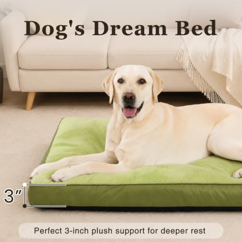 Waterproof Large Dog Bed for Crate with Washable Cover (35.0"L x 22.0"W x 3.0"Th / Green)