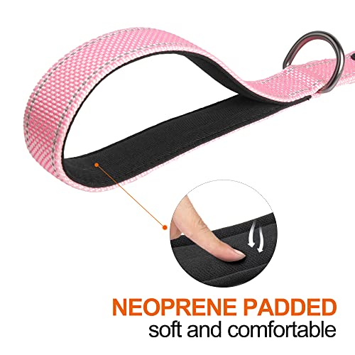 5FT 1IN Heavy Duty Dog Leash for Large Dogs with 2 Padded Handles (Pink / 1 in x 5 ft)