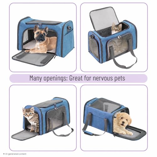 Pet Carrier 17.5" x 11.2" x 11.5" (Blue)