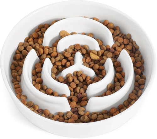 Ceramic Slow Feeder Dog Bowls 0.6 Cups for Small Fast Eaters (White / S - 0.6 Cups)