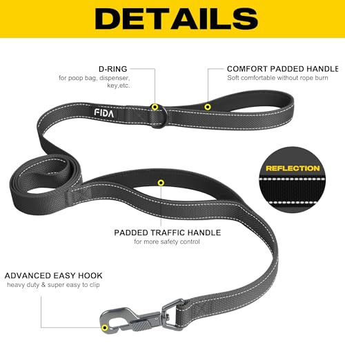Heavy Duty Dog Leash for Medium Large Dogs (6 Feet (Pack of 1) / Black)