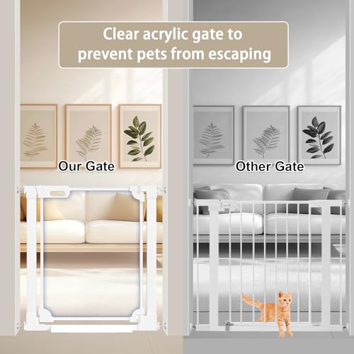 Clear Acrylic Baby Gate 29.52 (White / 29.52-37.79"W)