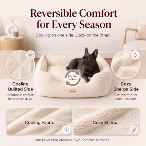 Cooling Orthopedic Dog Bed for Small Dogs (Beige / 30"L × 23"W (S))