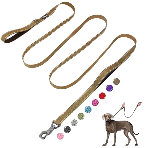 10 FT Heavy Duty Dog Leash (10 Feet (Pack of 1) / Brown)