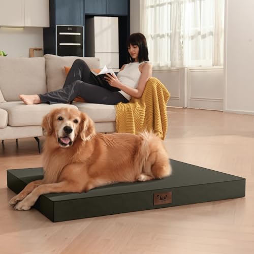 Orthopedic Waterproof Dog Bed for Small Dogs and Cats (Brown / 29.0"L x 18.0"W x 3.0"Th)