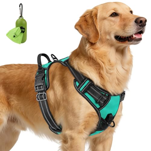 No Pull Dog Harness for Extra Large Dogs (X-Large / Teal)
