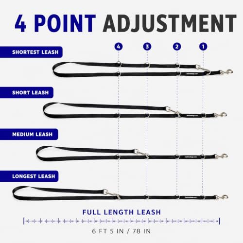 ActiveDogs Hands Free Dog Leash (6.5')