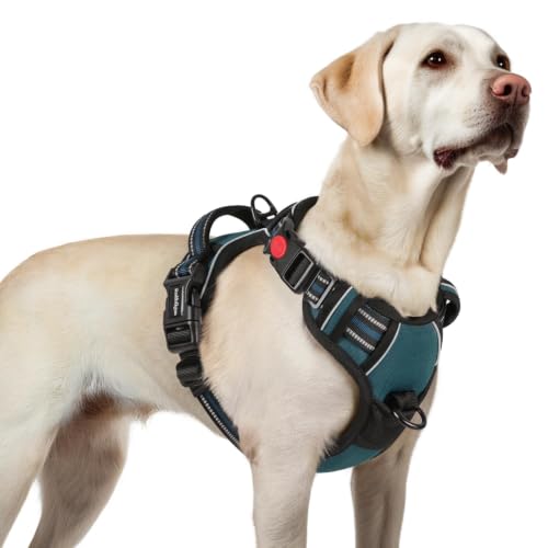 Dog Harness for Large (Large / Blue Coral)